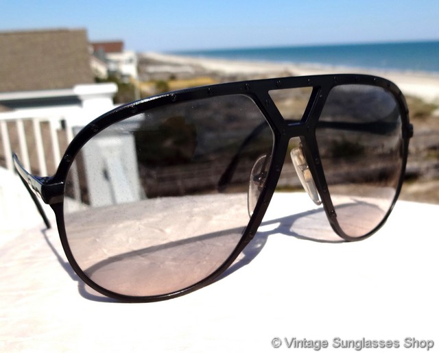 Alpina M1 Black Sunglasses