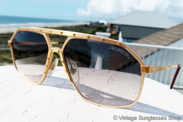 Alpina M6 Gold Sunglasses